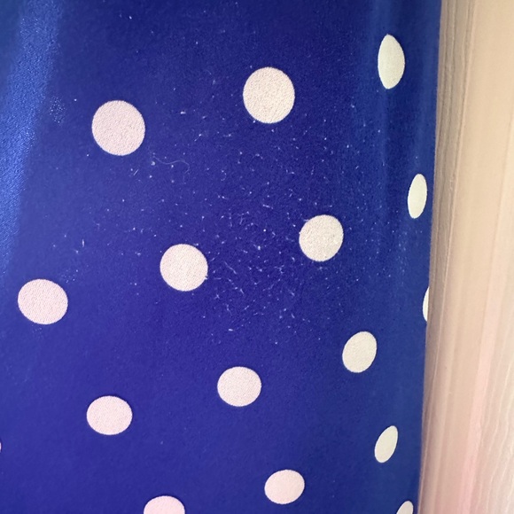 Laura Petite’s Blue Polka Dot Belted Dress - Picture 4 of 6